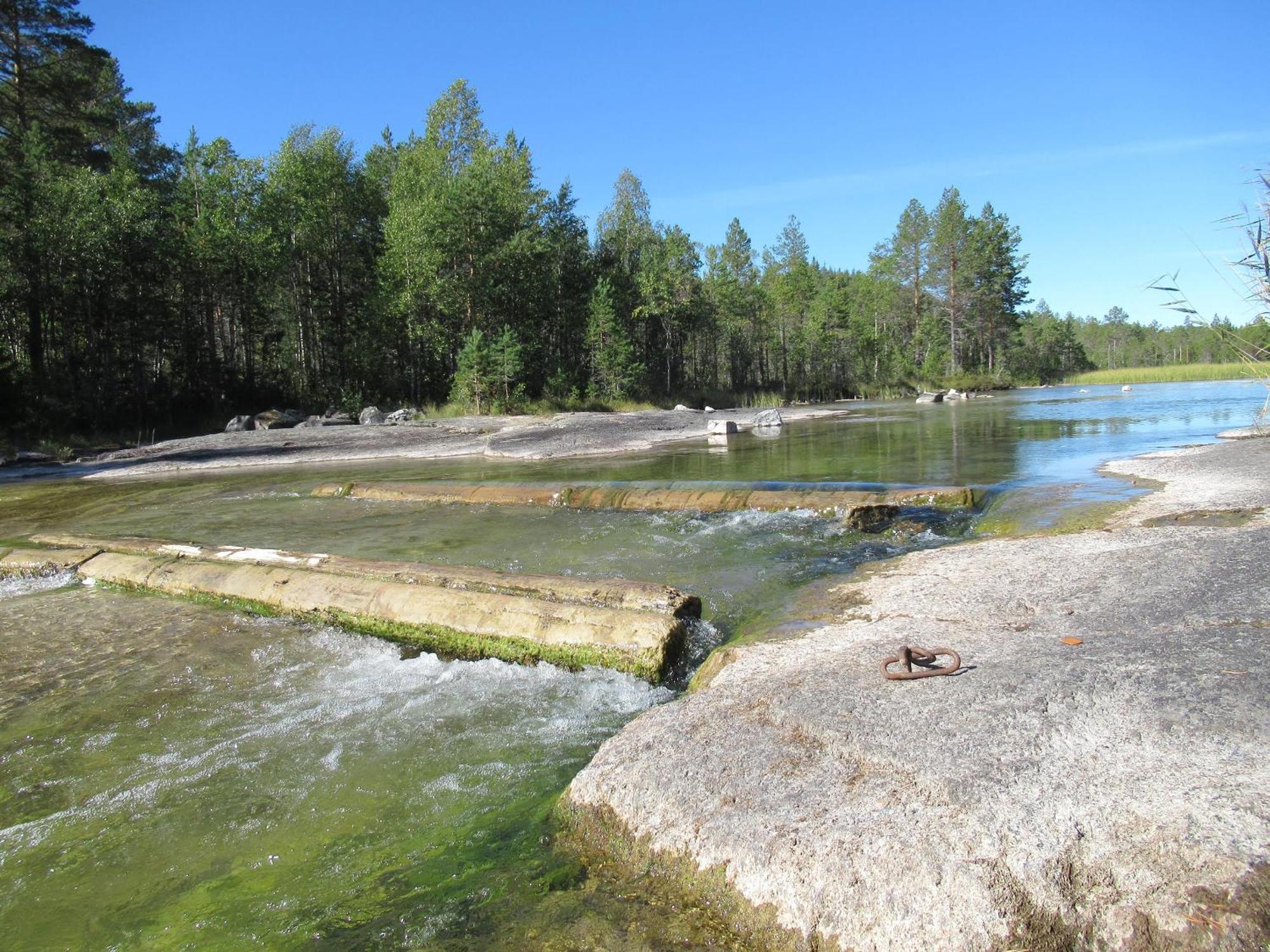 2 Persoons Stuga Hammarstrand 外观 照片