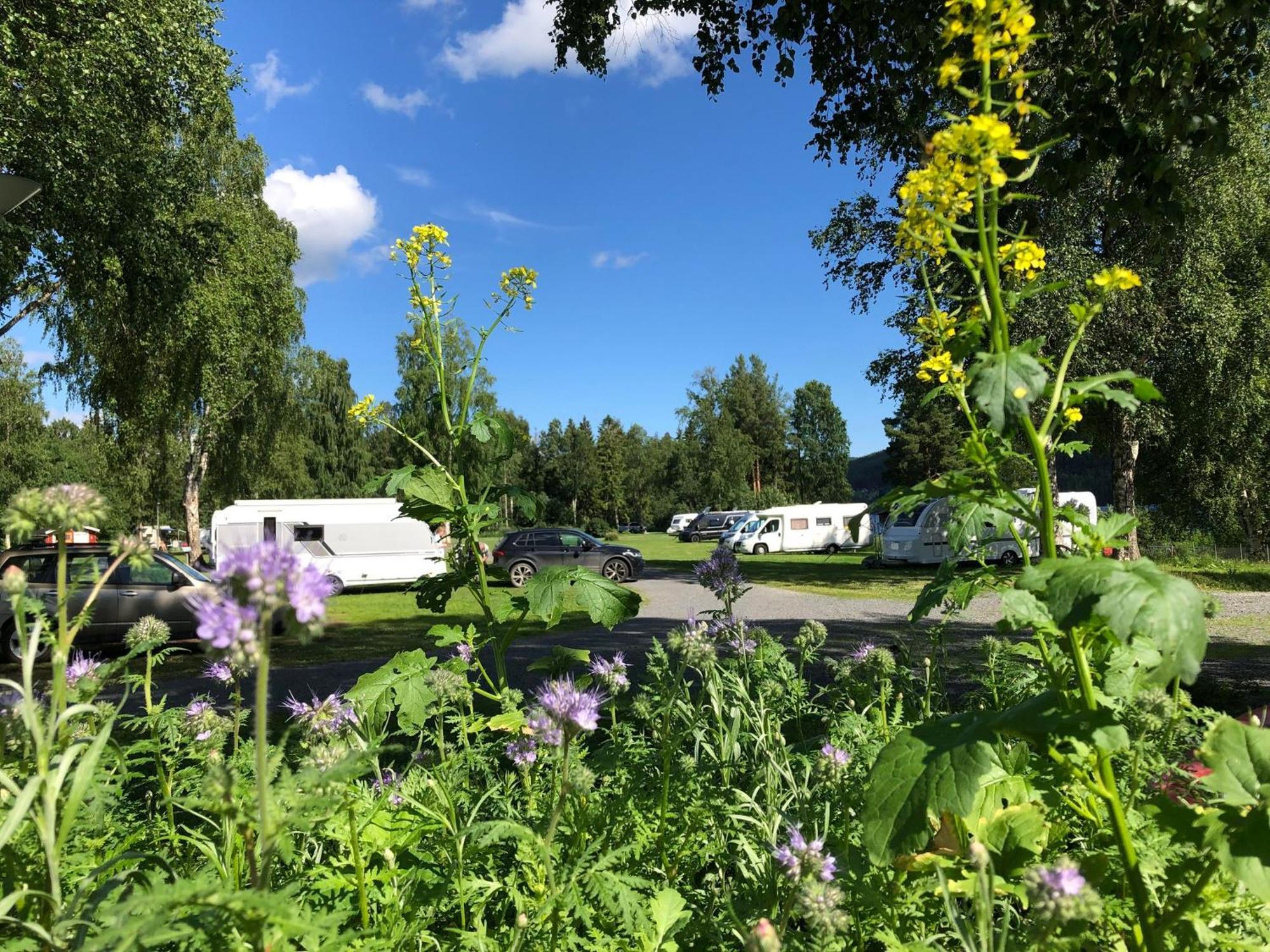2 Persoons Stuga Hammarstrand 外观 照片